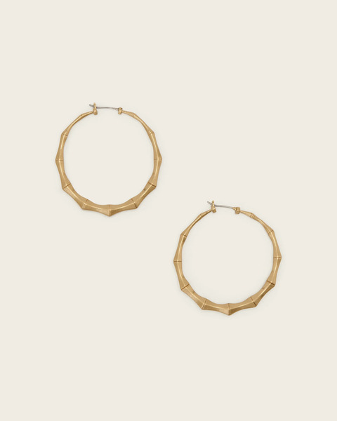  Allsaints Women's Clara Medium Hoop Earrings, One Size 
