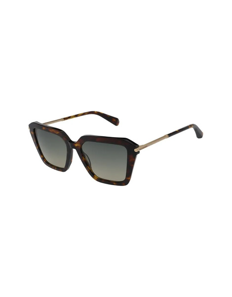 Allsaints Gwen Sunglasses In Brown 
