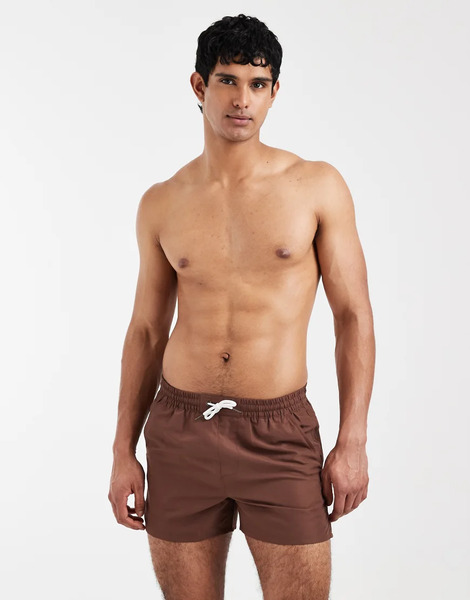 Aray Swimshort In Dark Brown 