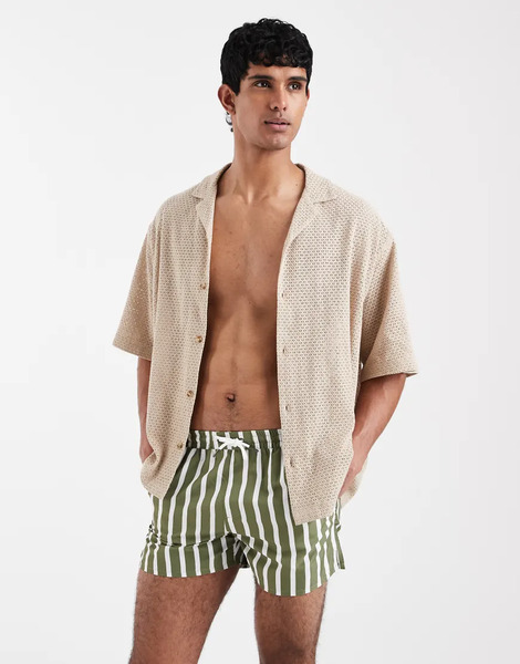  Aray Swimshort In Khaki Stripe Green 