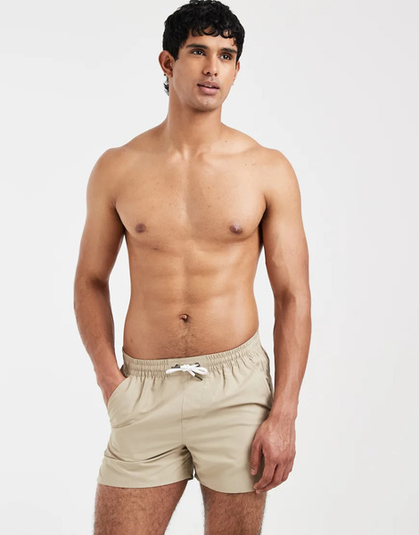  Aray Swimshort In Stone Neutral 