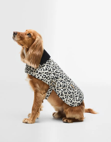  Barbour Jasmine Printed Dog Coat In Leopard Multi 