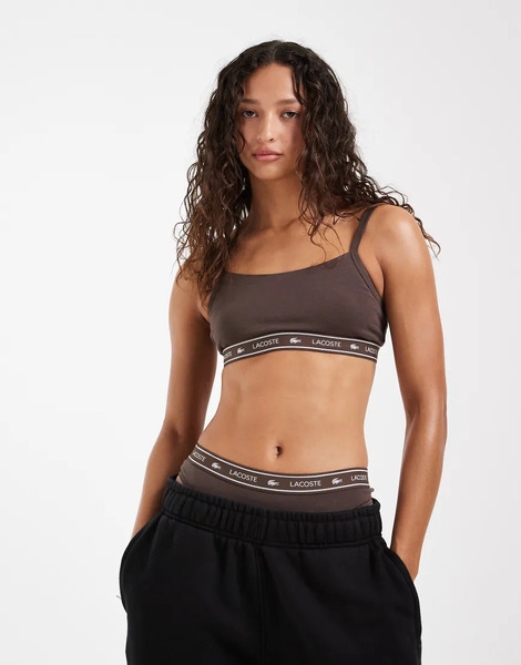  Lacoste Logo Bralette In Brown 