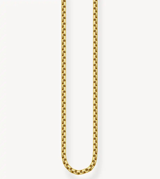 Thomas Sabo Chain Necklace In Gold 
