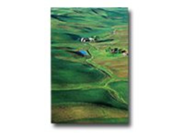  Epson Premium - Semi-gloss Photo Paper - 20 Sheet(s) 
