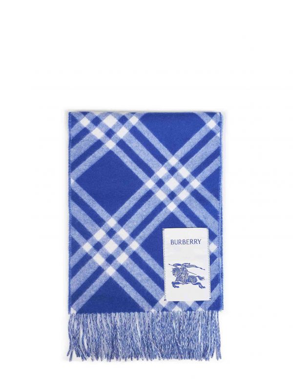  Burberry Burberry | Knight Blue Double-face Check Cashmere Scarf | Man | Pz 