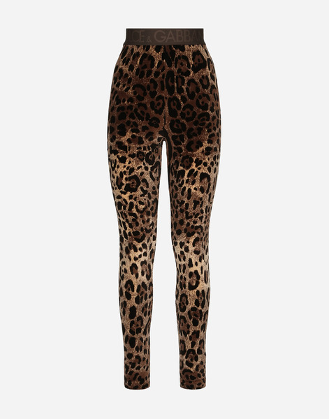  Dolce & Gabbana Chenille Leggings With Jacquard Leopard Design - Woman Pants And Shorts Multi-colored Cotton 42 