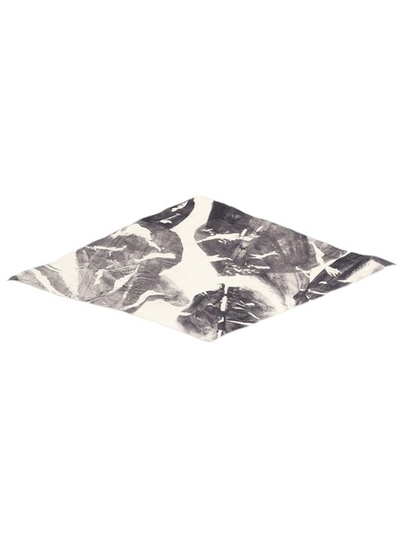 Alysi Alysi Silk Scarf 