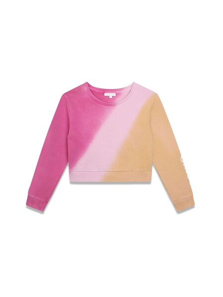  Chloé Chloé Sweatshirt 