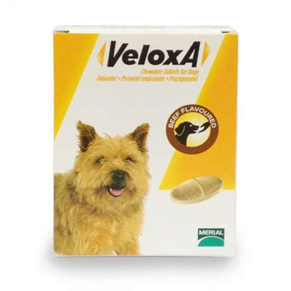  Veloxa Chewable Worm Treatment Tablets For Dogs Beef Flavoured X 4 