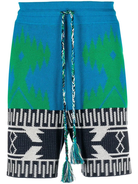  Alanui Abstract-pattern Shorts - Blue 