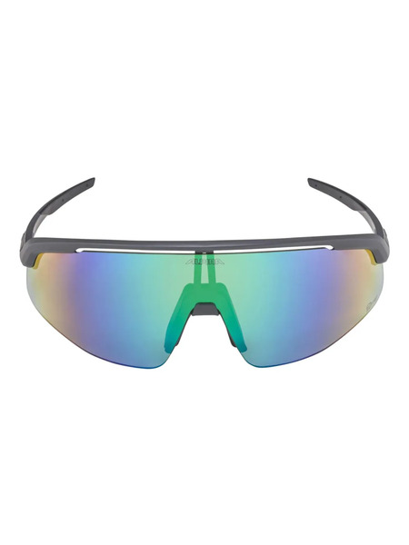  Alpina Turbo Pro Q-lite Glasses - Grey 