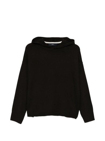  Arch4 Hooded Sweater - Brown 