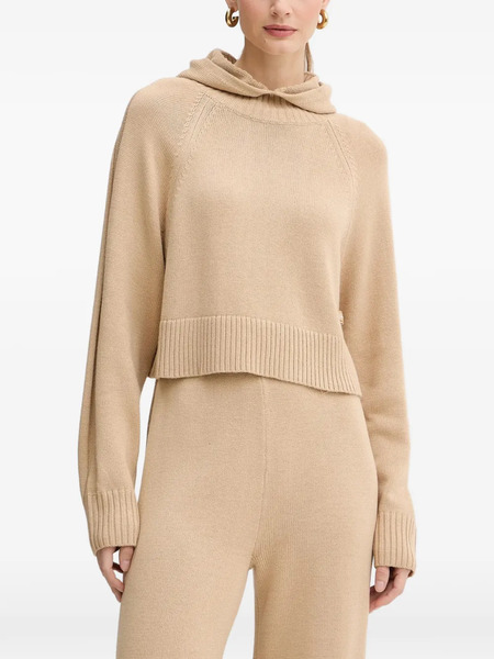  Armani Exchange Hooded Sweater - Neutrals 