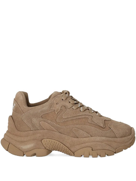  Ash Addict Suede Sneakers - Brown 