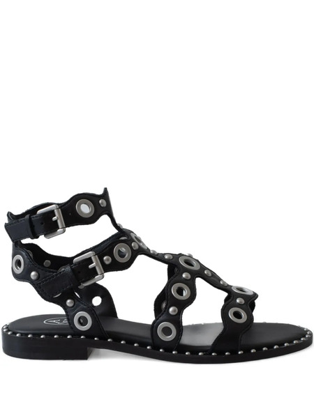  Ash Double-buckle Leather Flat Sandals - Black 