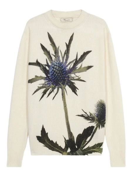  Blumarine Floral-motif Crew-neck Sweater - White 