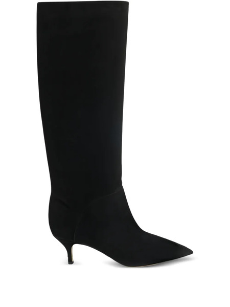  Casadei Pointed Flat Knee-high Boots - Black 