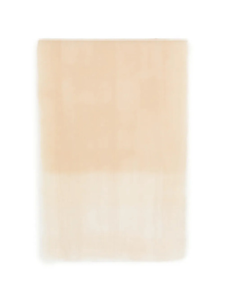  D'aniello Frayed-edges Scarf - Neutrals 