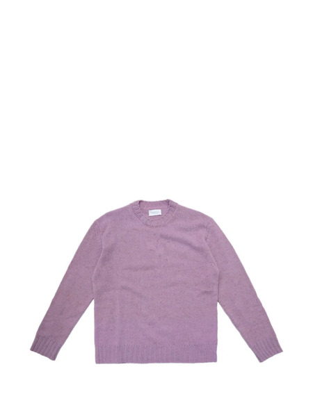 Diana Studio Crew-neck Ribbed Sweater - Pink 