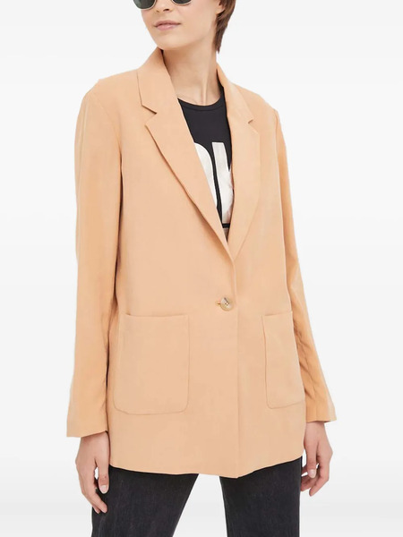  Dkny Single-breasted Blazer - Brown 