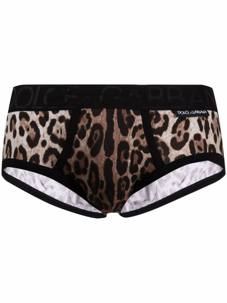  Dolce & Gabbana Leopard-print Boxer Briefs - Neutrals 