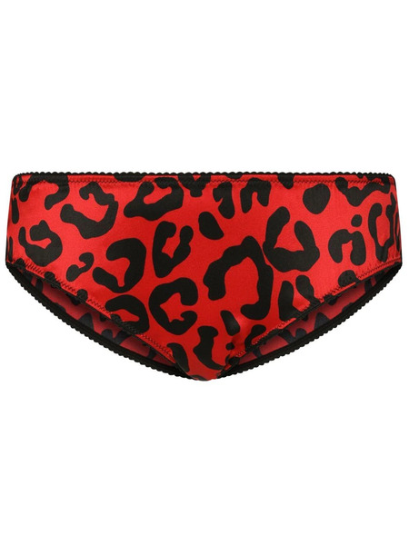  Dolce & Gabbana Leopard-print Briefs - Red 
