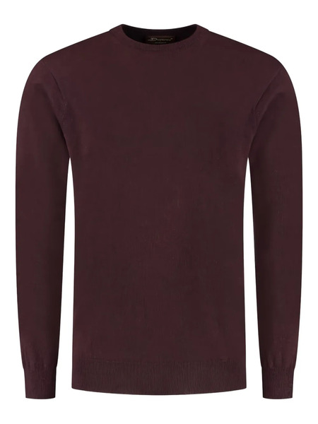 Doriani Crew-neck Sweater - Red 