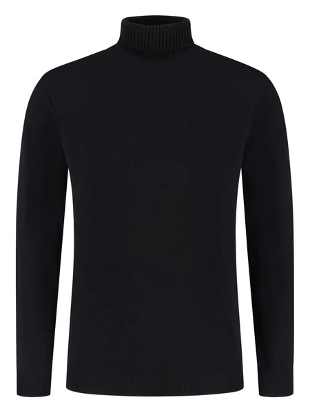  Doriani Turtleneck Sweater - Black 