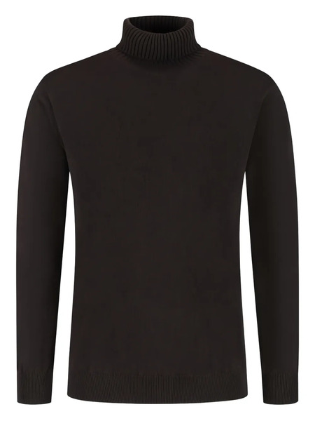  Doriani Turtleneck Sweater - Brown 