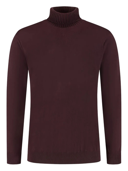  Doriani Turtleneck Sweater - Red 