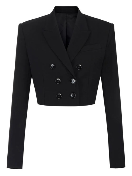  Elisabetta Franchi Double-breasted Jacket - Black 