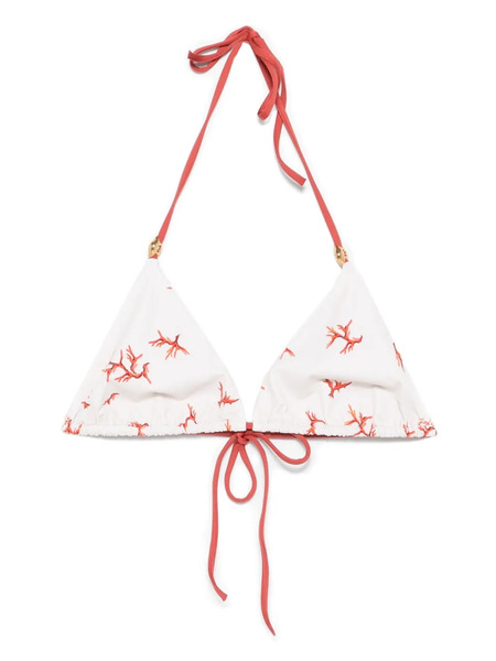  Fendi Coral-print Triangle-cup Bikini Top - Neutrals 
