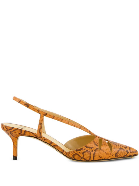  Francesco Russo Kitten-heel Pumps - Brown 