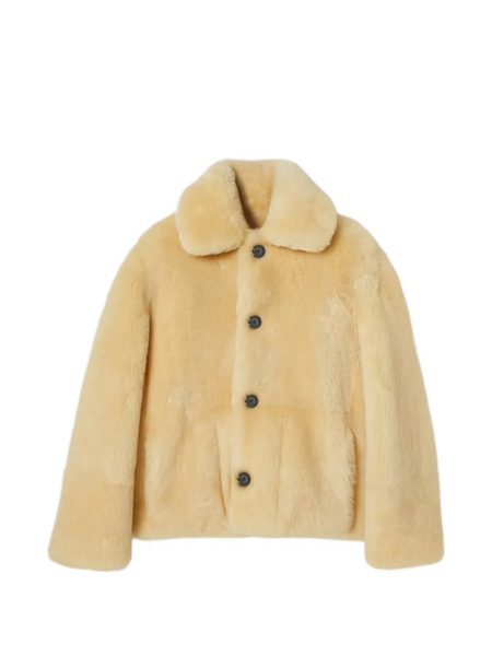  Gucci Buttoned Shearling Jacket - Yellow 