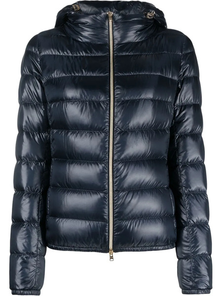  Herno Down-feather Padded Jacket - Blue 