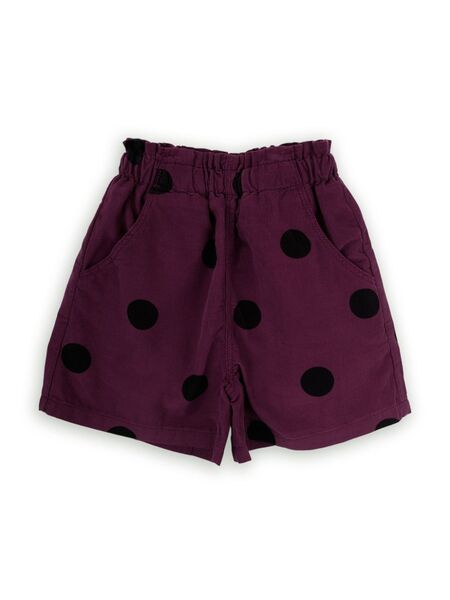  Knot Lore Shorts - Purple 