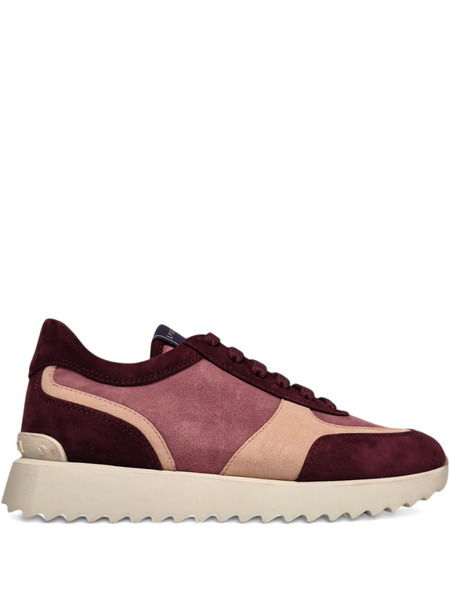  Le Silla Suede Sneakers - Pink 