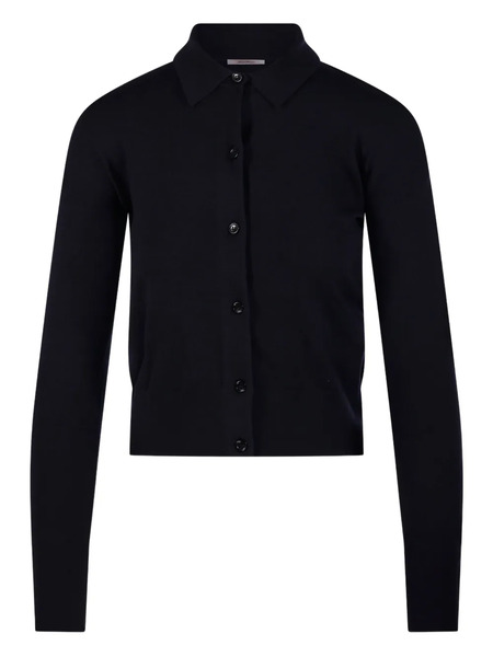  Max Mara Buttoned Collared Cardigan - Blue 