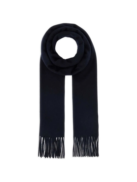  Max Mara Fringed Cashmere Scarf - Blue 