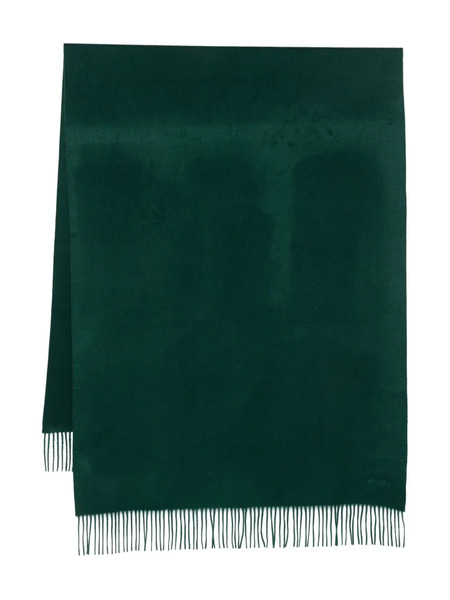  Max Mara Fringed Cashmere Scarf - Green 