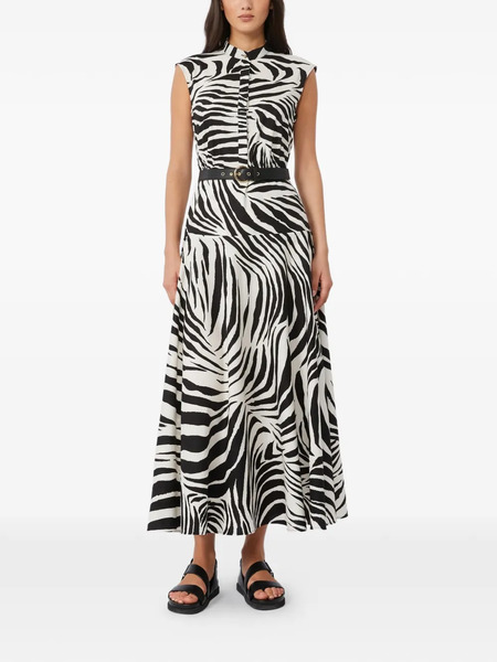 Max Mara Zebra-print Dress - White 