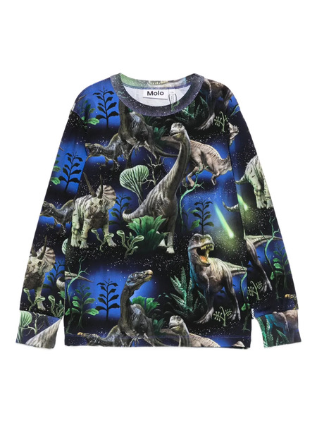  Molo Dinosaur-print Sweatshirt - Blue 