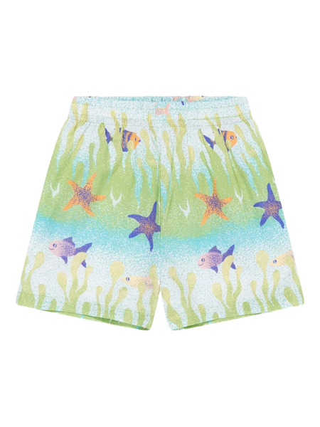  Molo Under The Sea Shorts - Green 