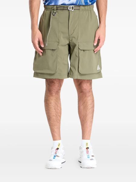  Nike Smith Summit Cargo Shorts - Green 