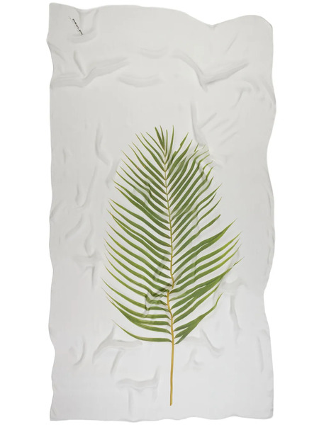  Osklen Palm Leaf-print Scarf - White 