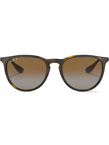  Ray-ban Erika Sunglasses - Brown 