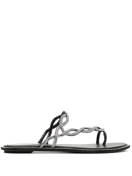  René Caovilla Braid Sandals - Black 