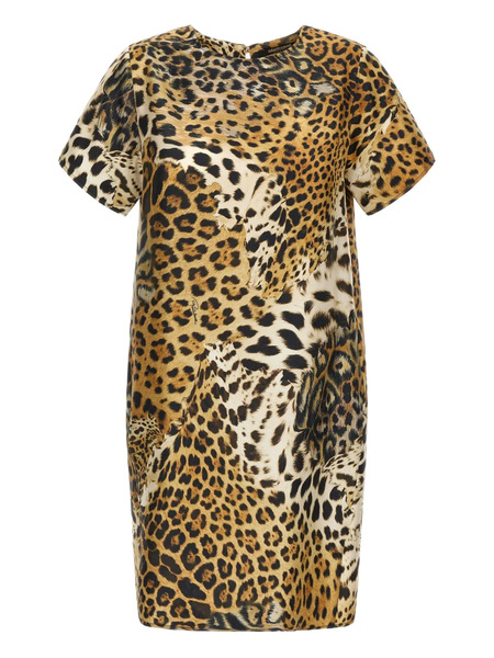  Roberto Cavalli Leopard-print Mini Dress - Neutrals 