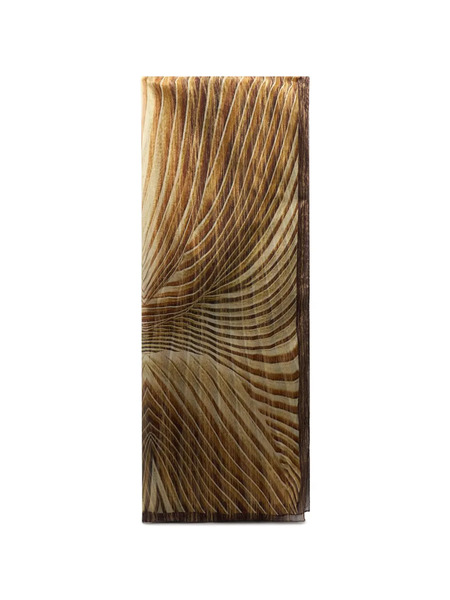 Roberto Cavalli Printed Scarf - Brown 
